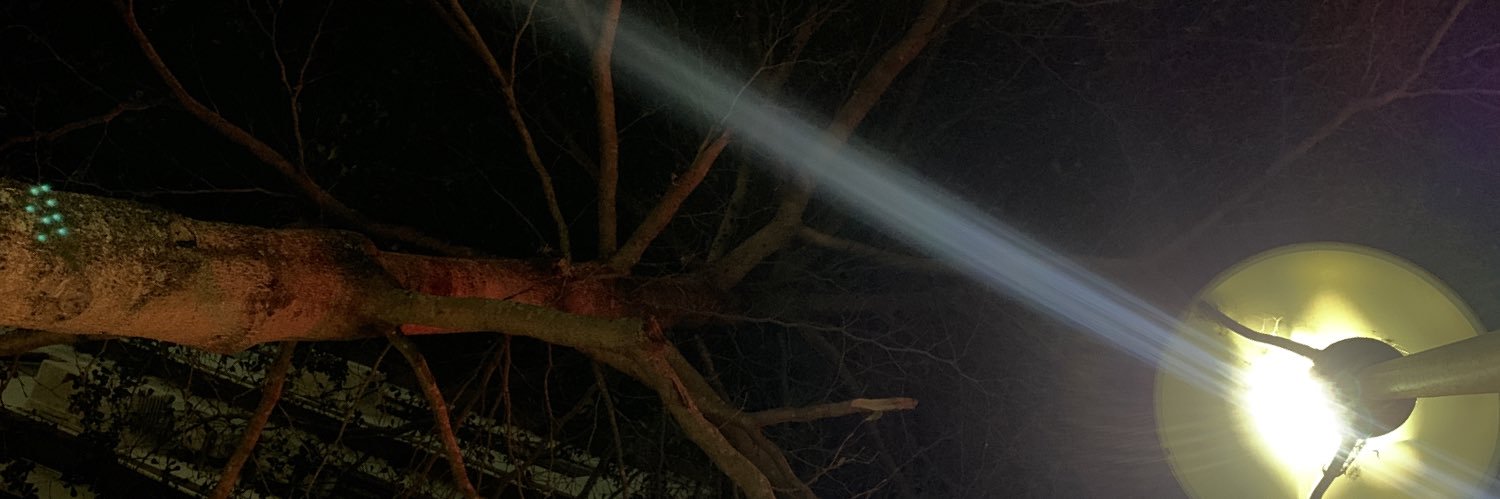 taca a mae pra ver se quica banner