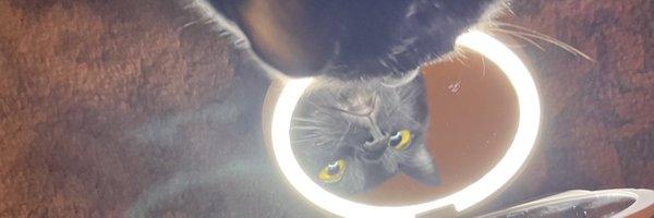 adisonmay_ Profile Banner