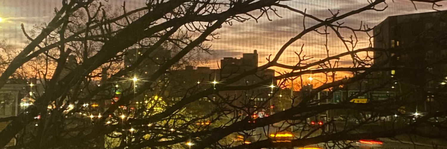 ZelevTHC's profile banner image