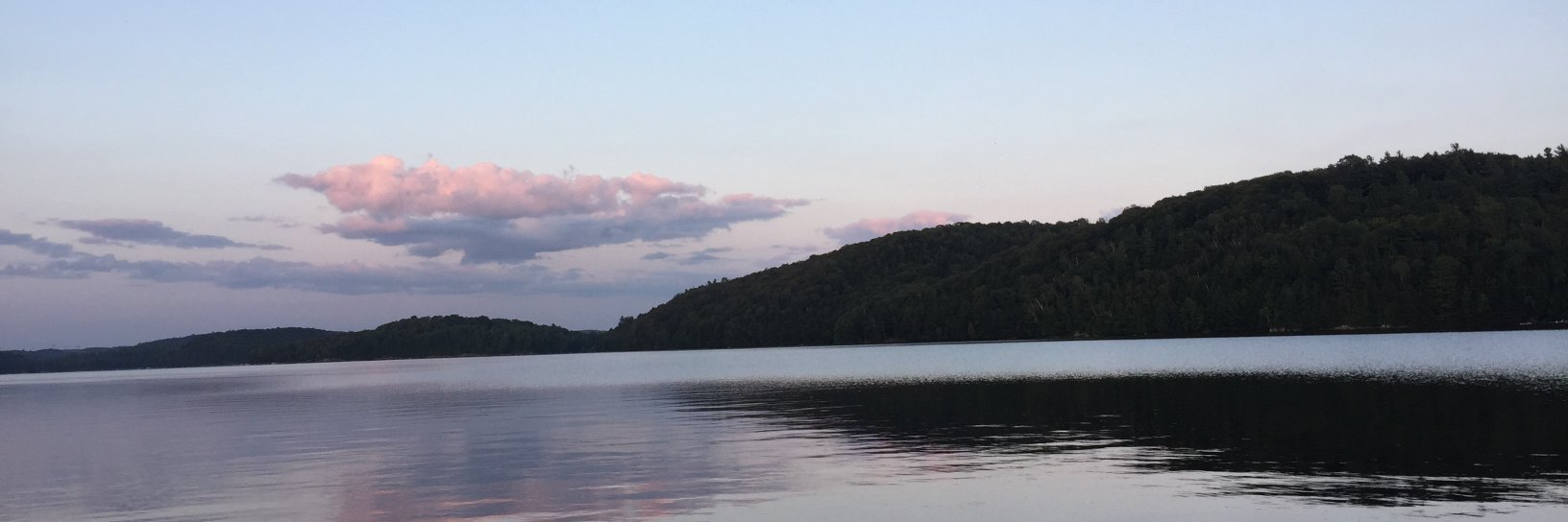 tdear4's profile banner image