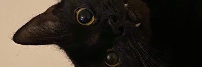 Joyyyyyboyyyyy's profile banner image