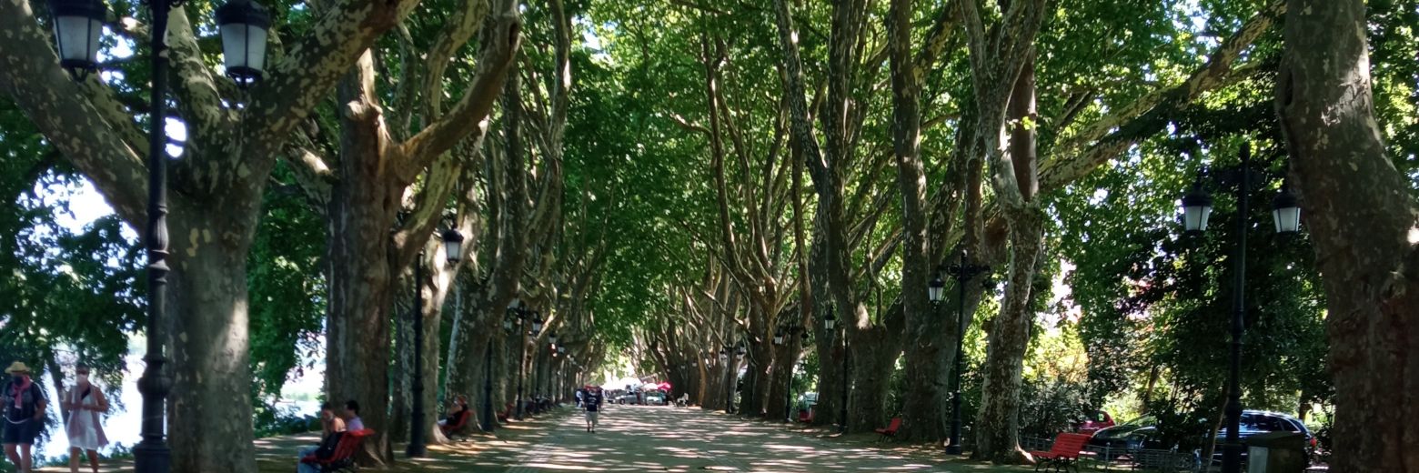 Naia_24's profile banner image