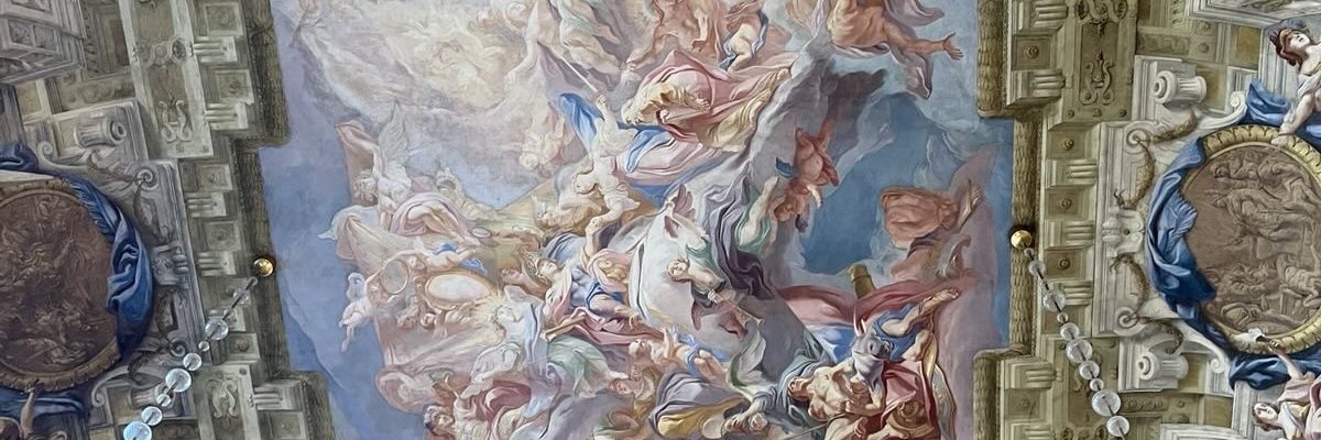 NoelaAlic's profile banner image