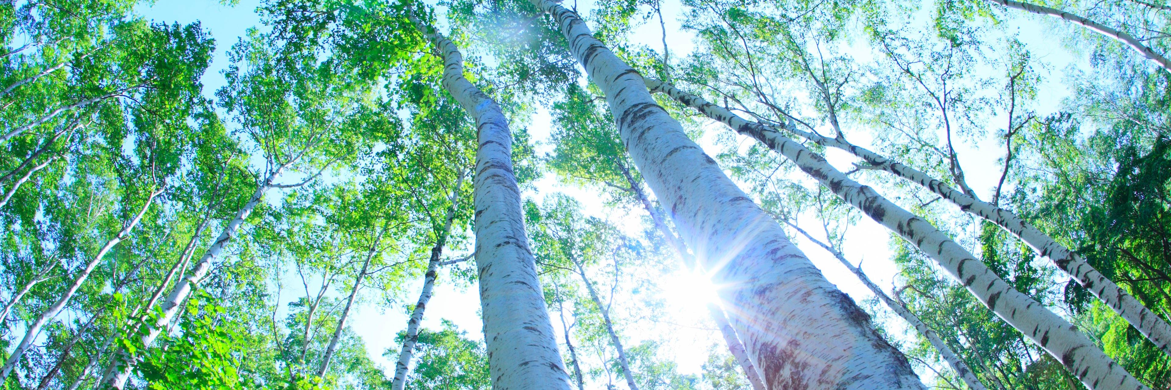 kyleatdeloitte's profile banner image