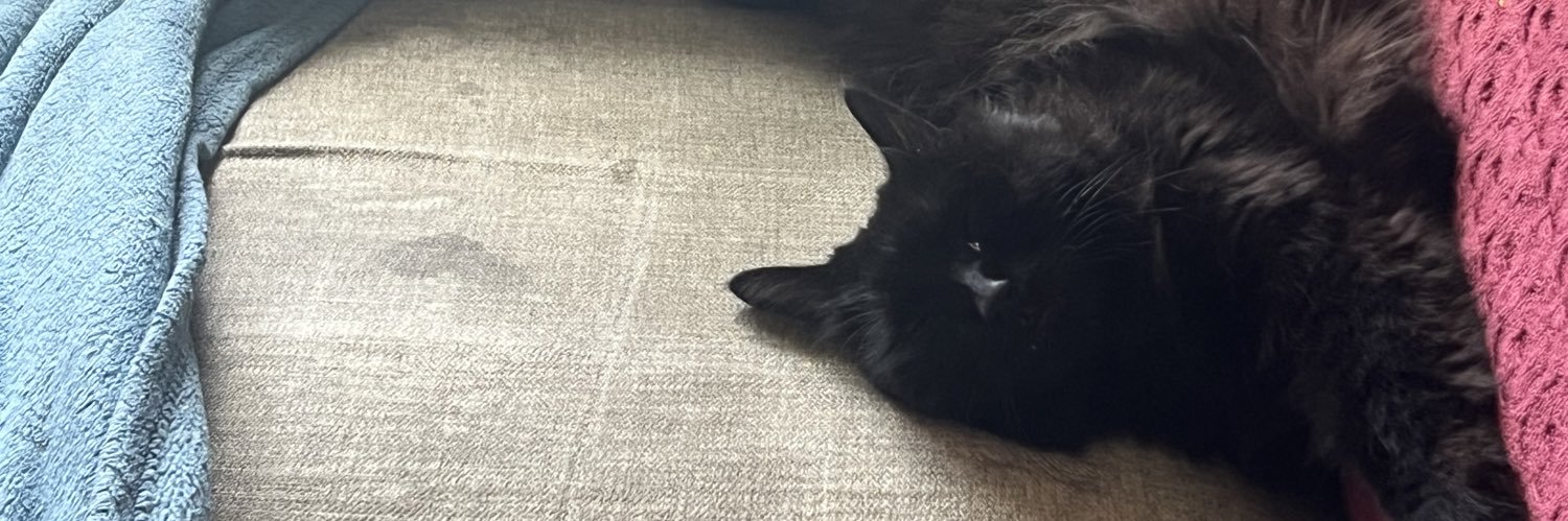 JOEY-G Obsessed DDV fanatic banner