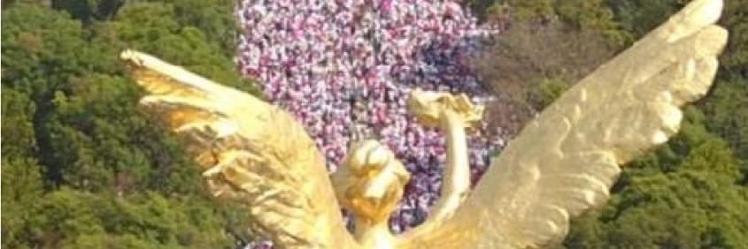 AMCRR's profile banner image