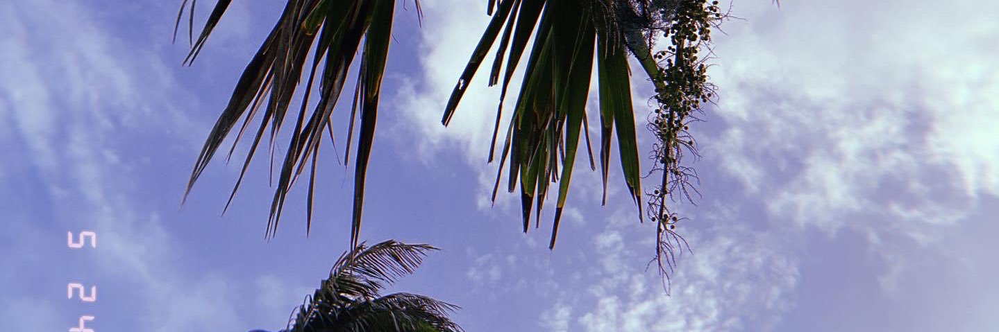 amelialeventis's profile banner image