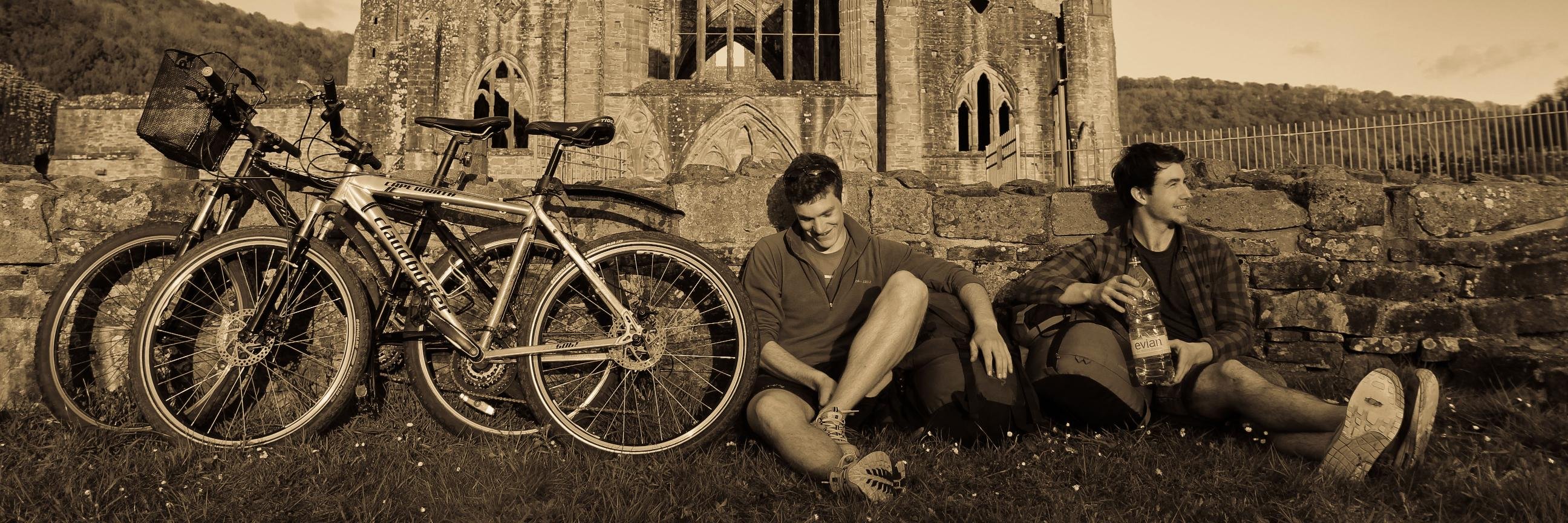 Between the Tropics banner