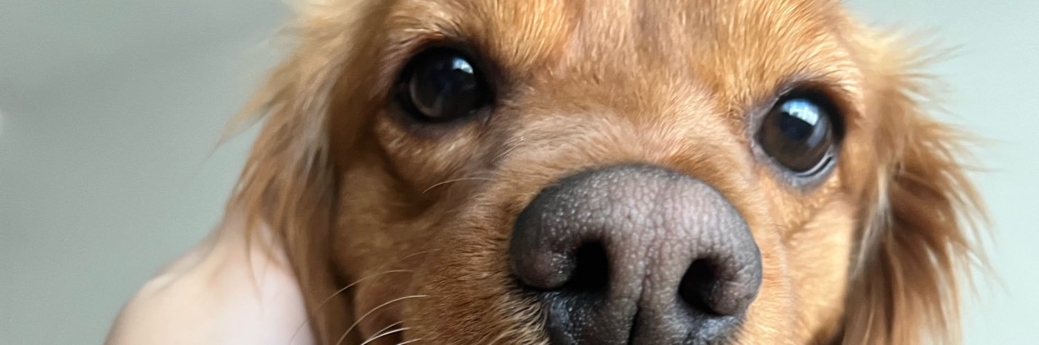 carolg banner