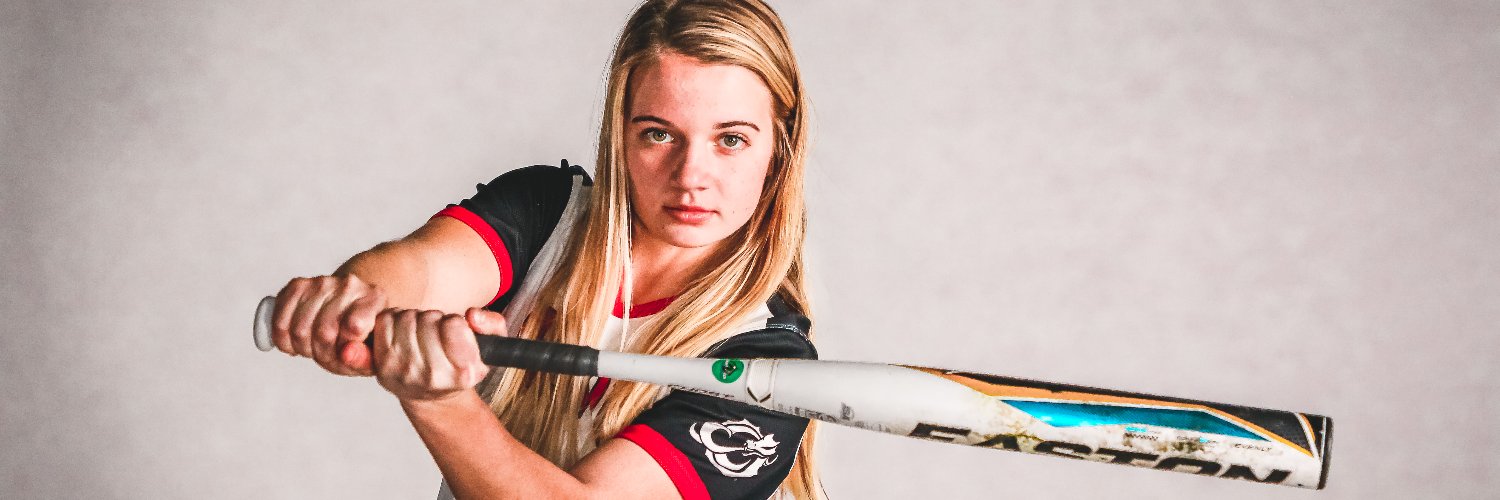 MSUM Softball banner