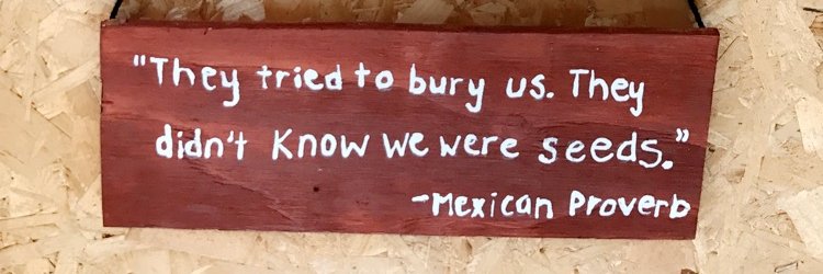 Selenni Valenzuela banner