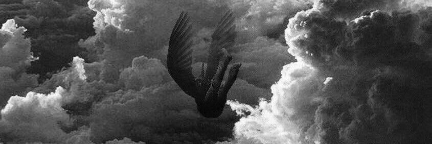 Raphael Sandoval banner