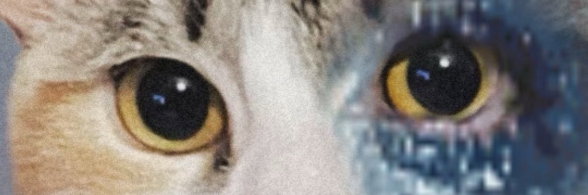 smnthxck's profile banner image
