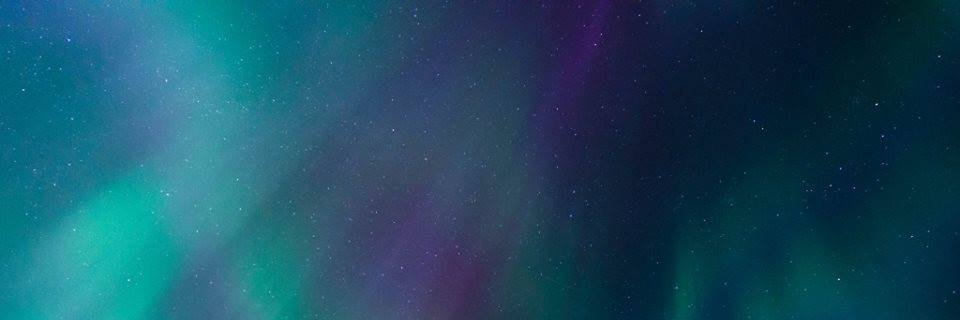 Disability Resources banner