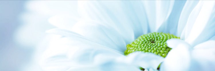 Cat_WTR's profile banner image