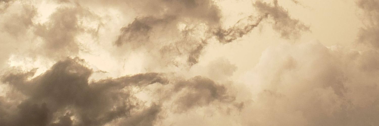 AleeRosemberg's profile banner image