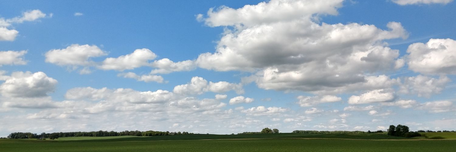 ChickenTrtr's profile banner image