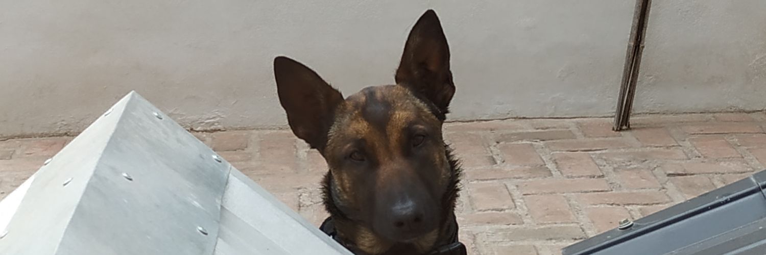 jf banner