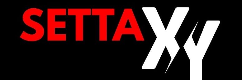 settaxy's profile banner image
