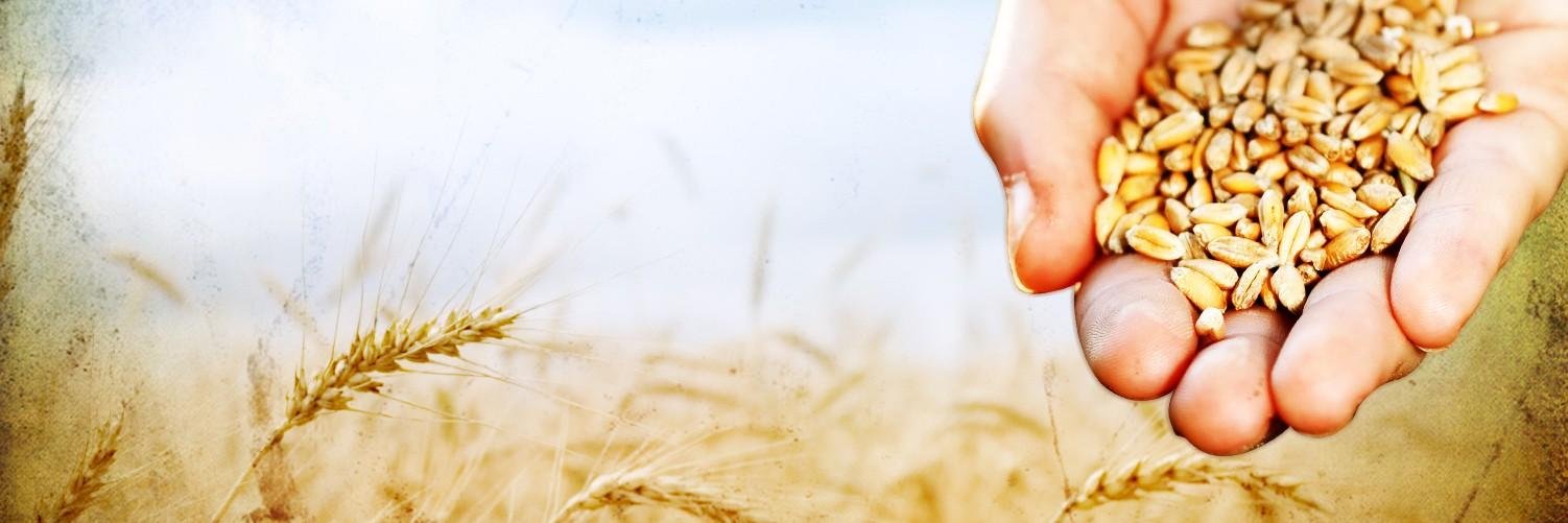 HorizonteMin's profile banner image