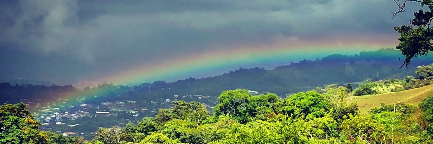 Javier Alvarado banner