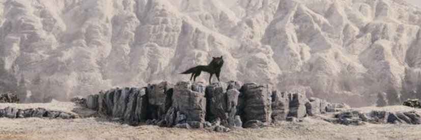 carson_kohler's profile banner image