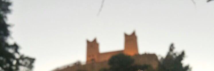 ladyswiing's profile banner image