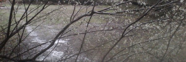 imp_lise Profile Banner