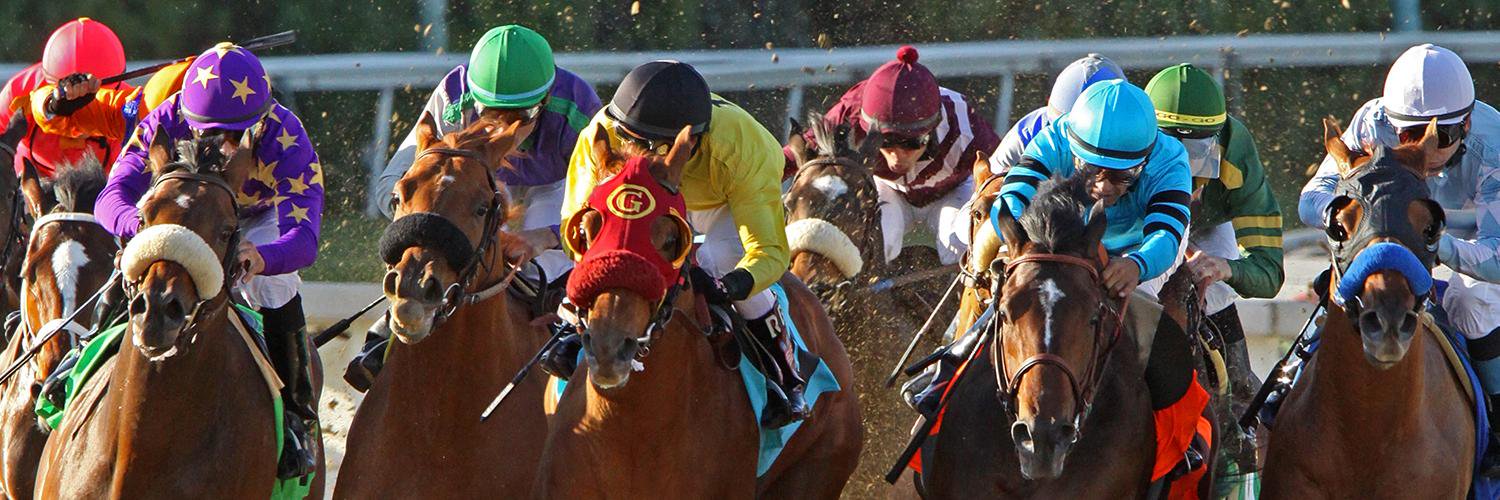 EliteRacingNet's profile banner image