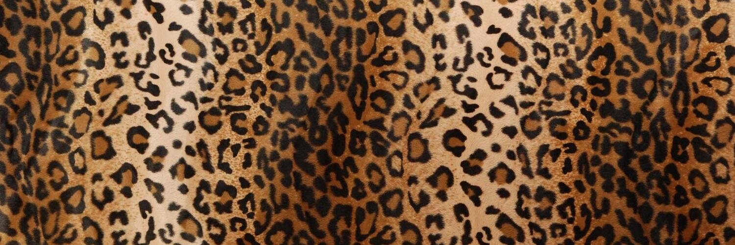 chambersandsons's profile banner image