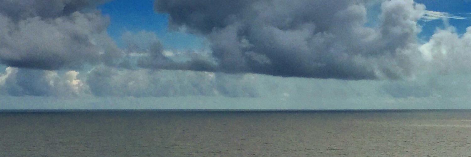 timberwoolf's profile banner image