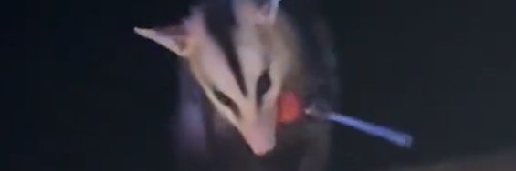 larimmz's profile banner image