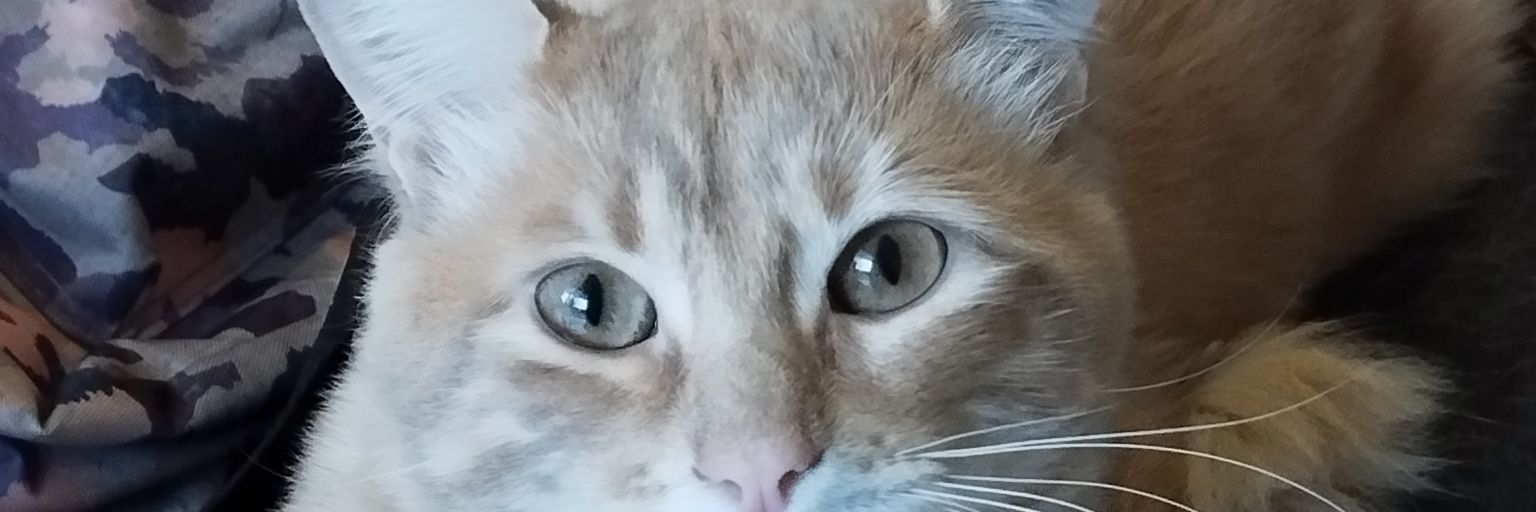 ericsw96's profile banner image