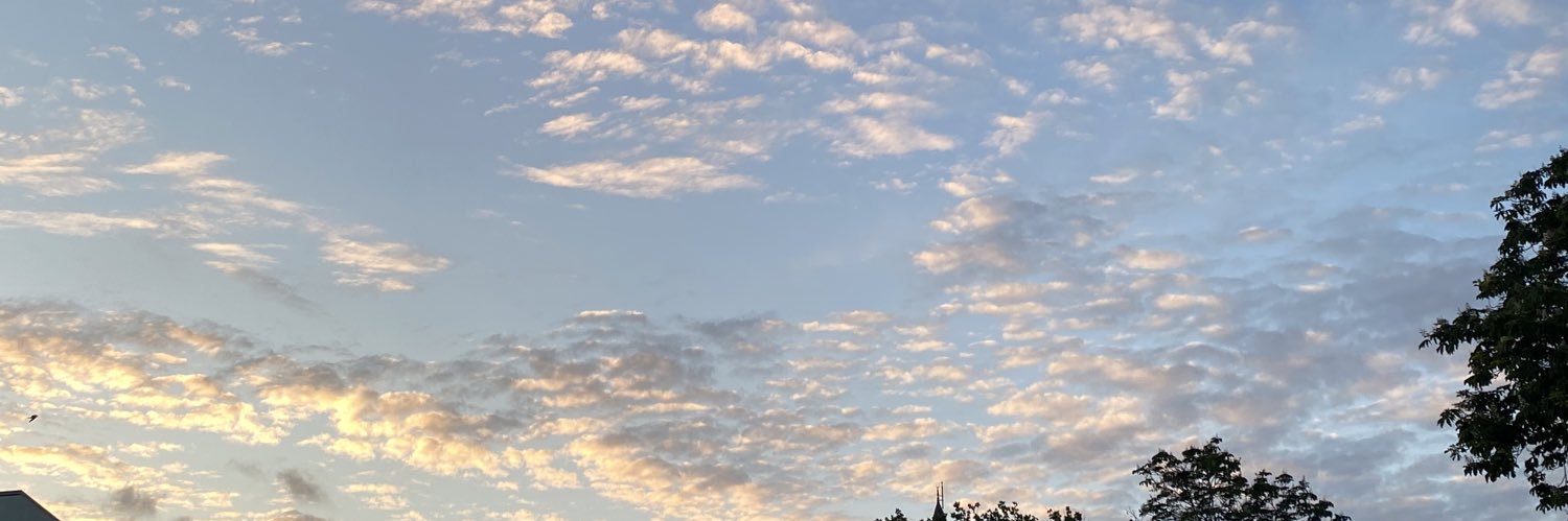 elikogluftmnr's profile banner image