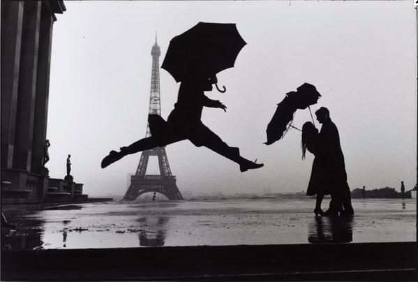 LA NEGRA Landi ❗👣🌈🐾🎨🍀🐞 banner