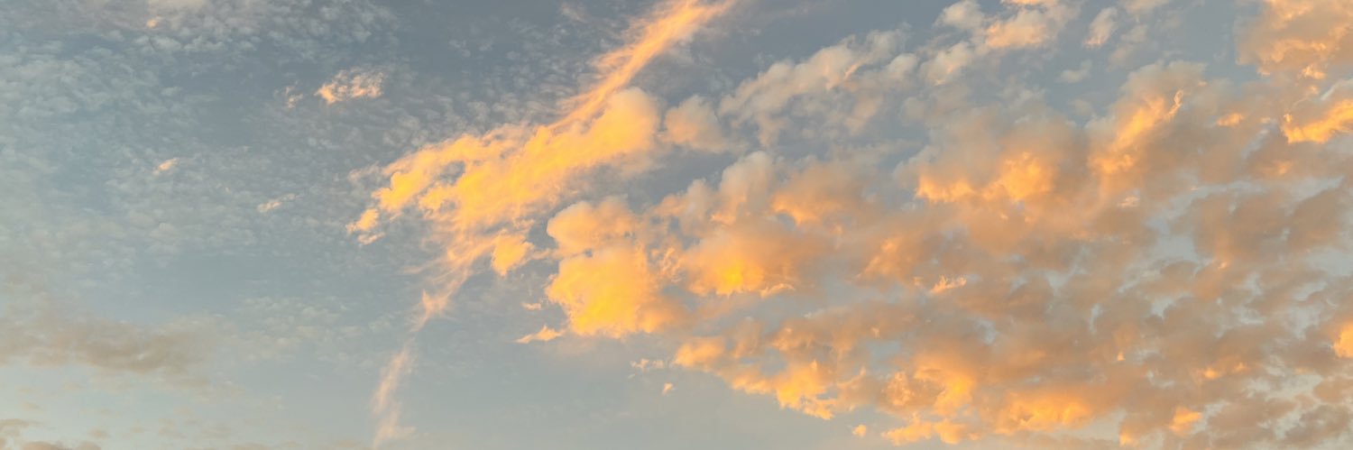 roeyjamirez's profile banner image