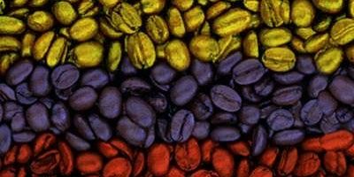 Beatriz Martinez banner