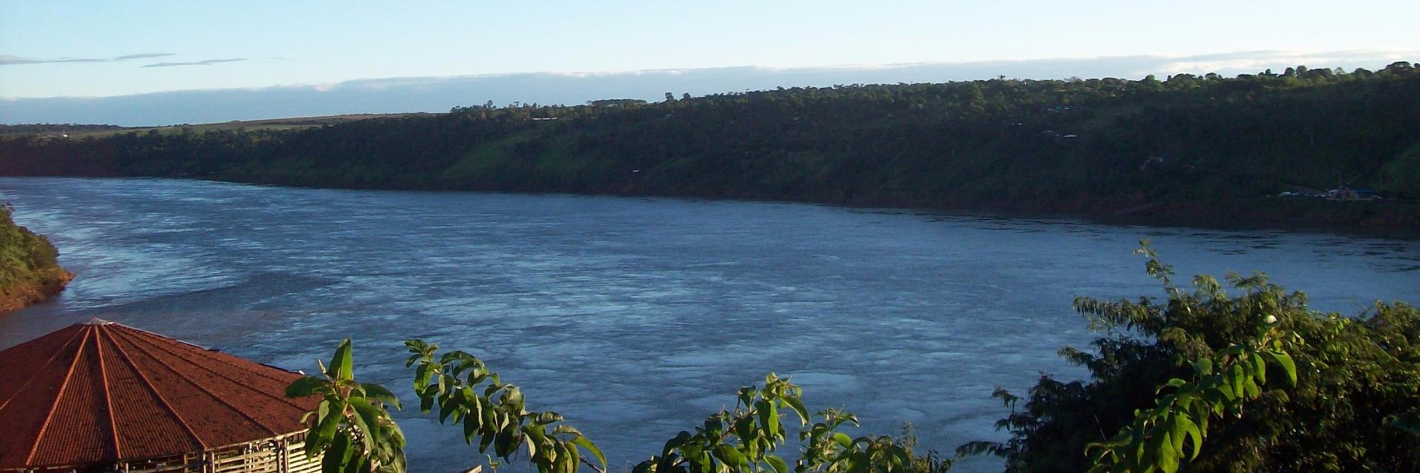 chipsnelson's profile banner image