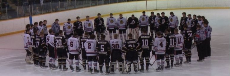 Lakefield Chiefs banner