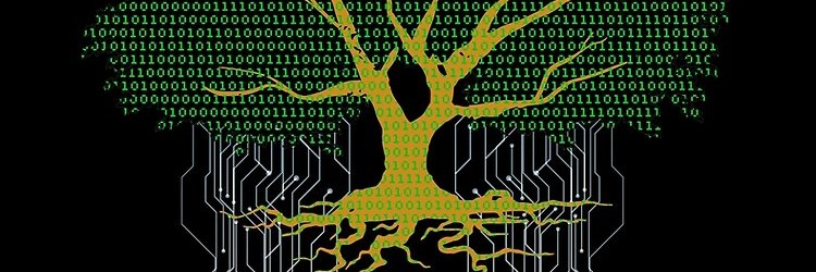 David Nage🎯 banner