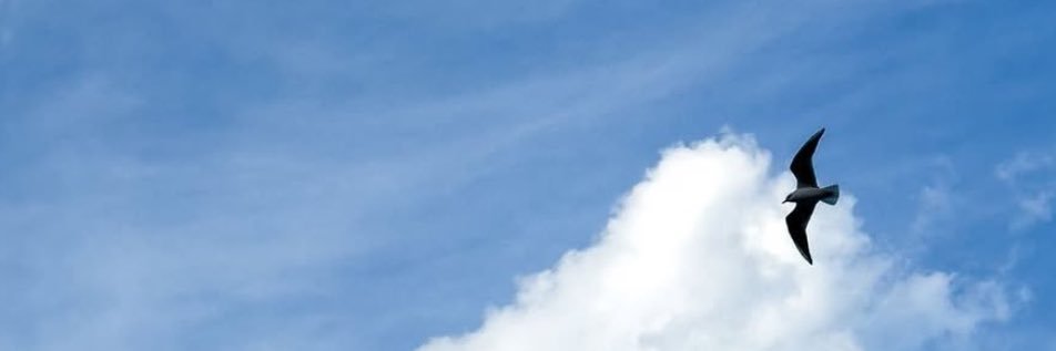 iinoushh's profile banner image