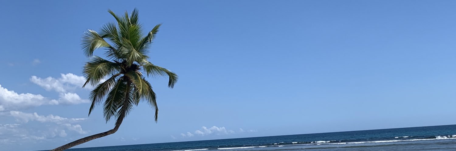 Desirée Ibarra banner