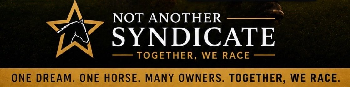 NotAnotherSynd's profile banner image