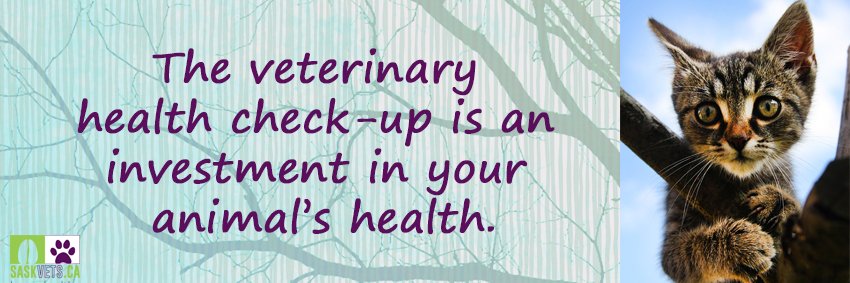 Sask Vets banner