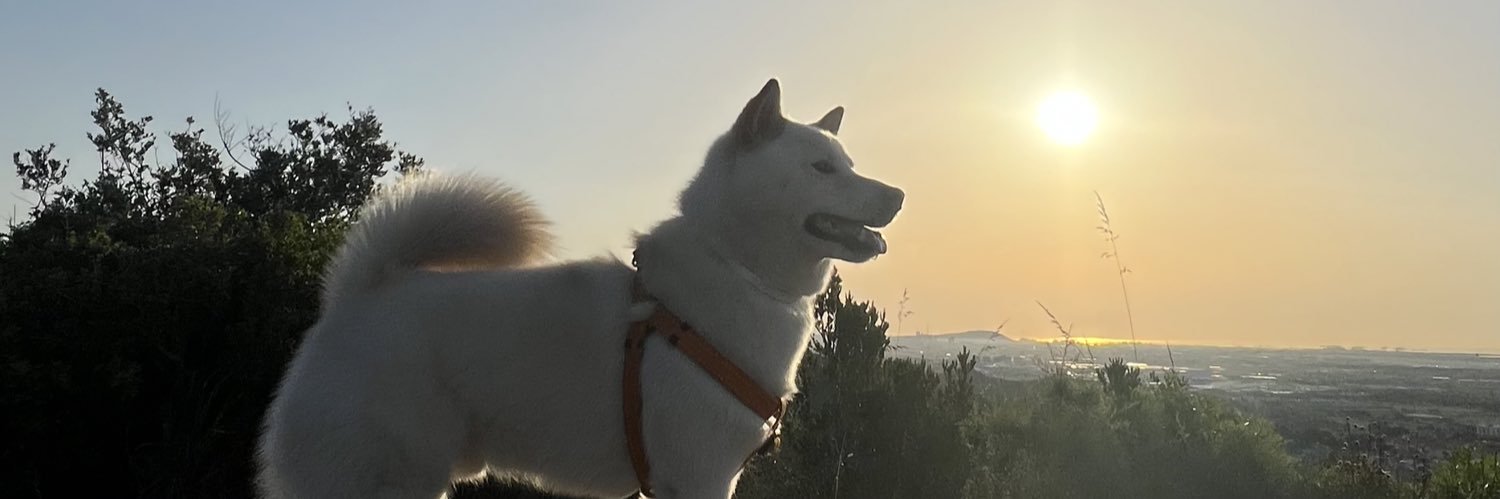 armandpedros's profile banner image