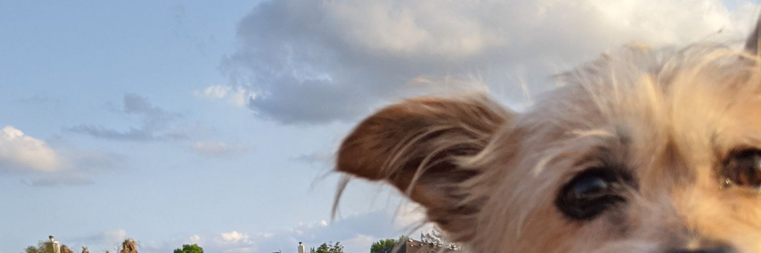 TXReaves's profile banner image