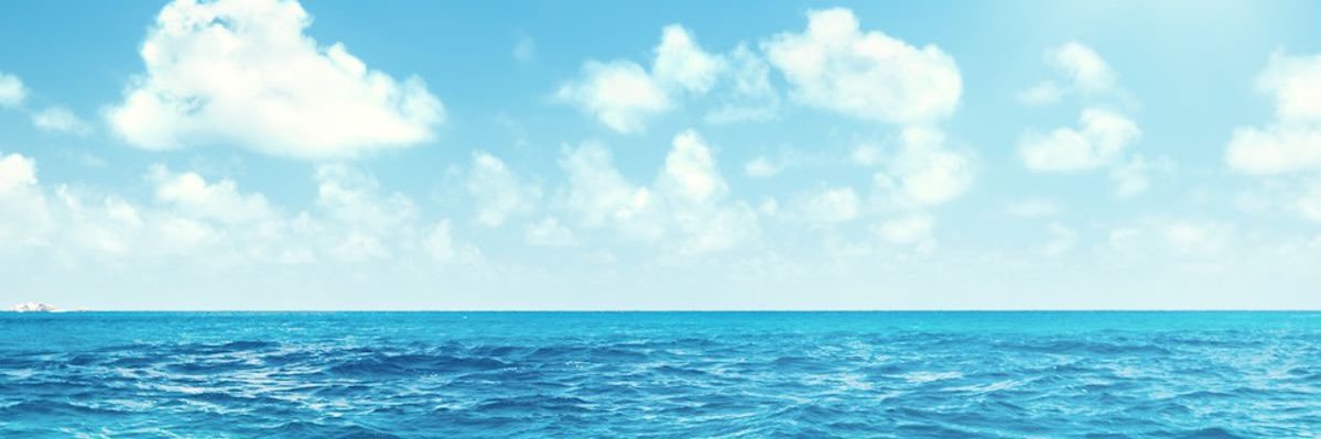 Thibault Duboucher banner