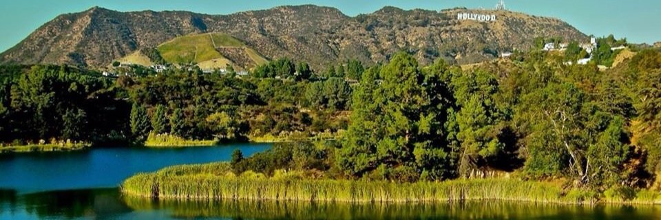 LAspeedotours's profile banner image