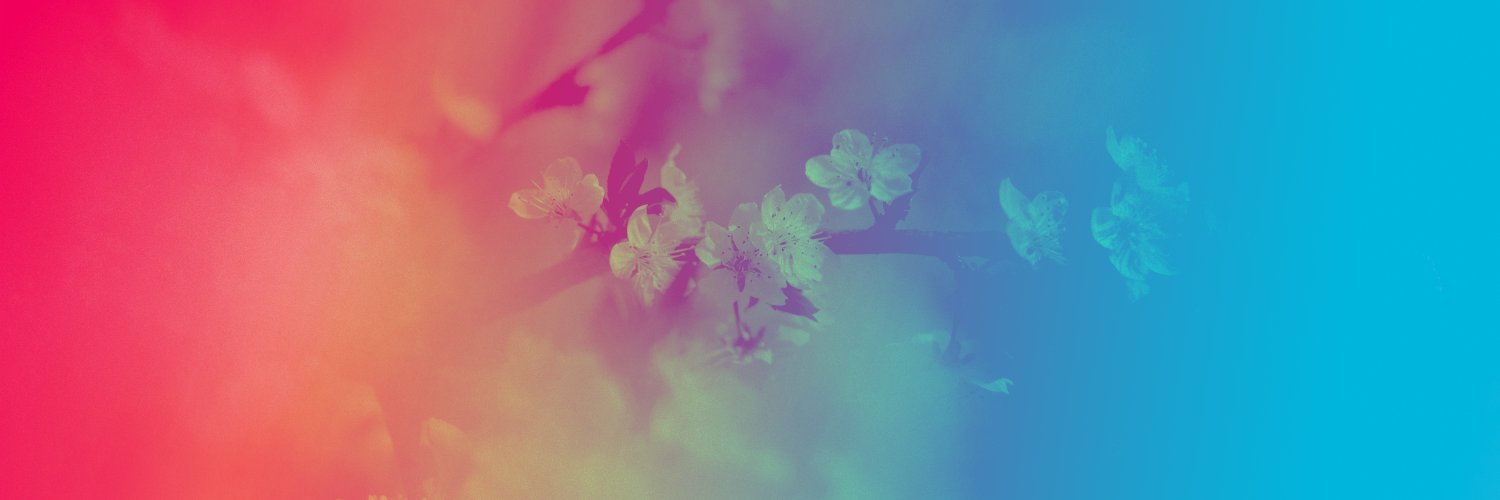 germanhanami's profile banner image