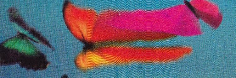beatriz_felizz's profile banner image